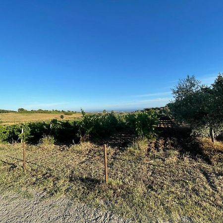 Agriturismo Casale Sasso Guest House Cerveteri Luaran gambar