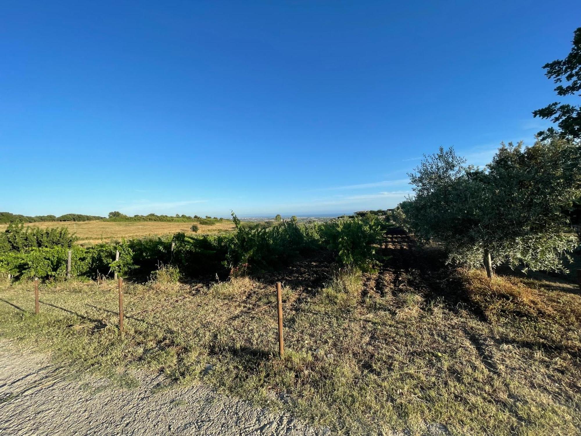 Agriturismo Casale Sasso Cerveteri Luaran gambar