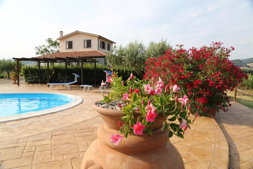 Agriturismo Casale Sasso Guest House Cerveteri Luaran gambar