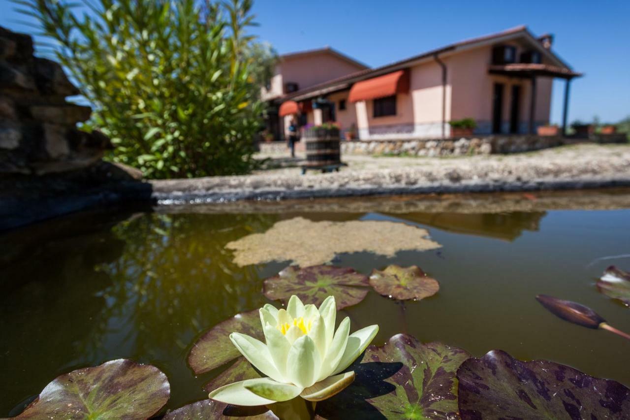 Agriturismo Casale Sasso Guest House Cerveteri Luaran gambar