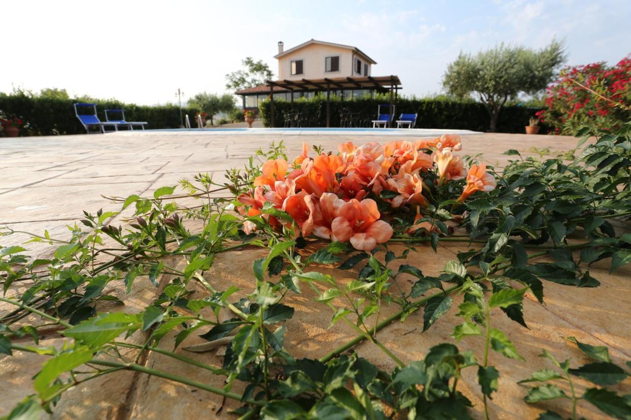 Agriturismo Casale Sasso Guest House Cerveteri Luaran gambar